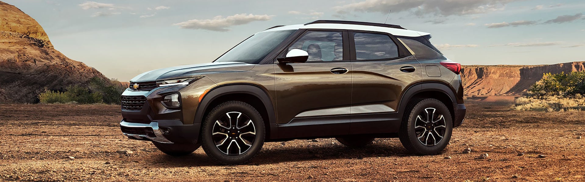 Trailblazer Parked on Ground